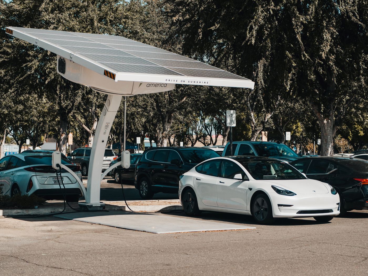 A row of EVs charging at a public station